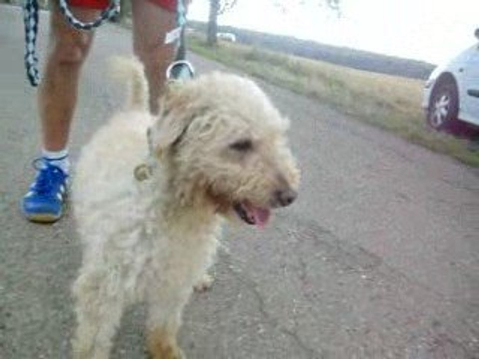 beto aout 09