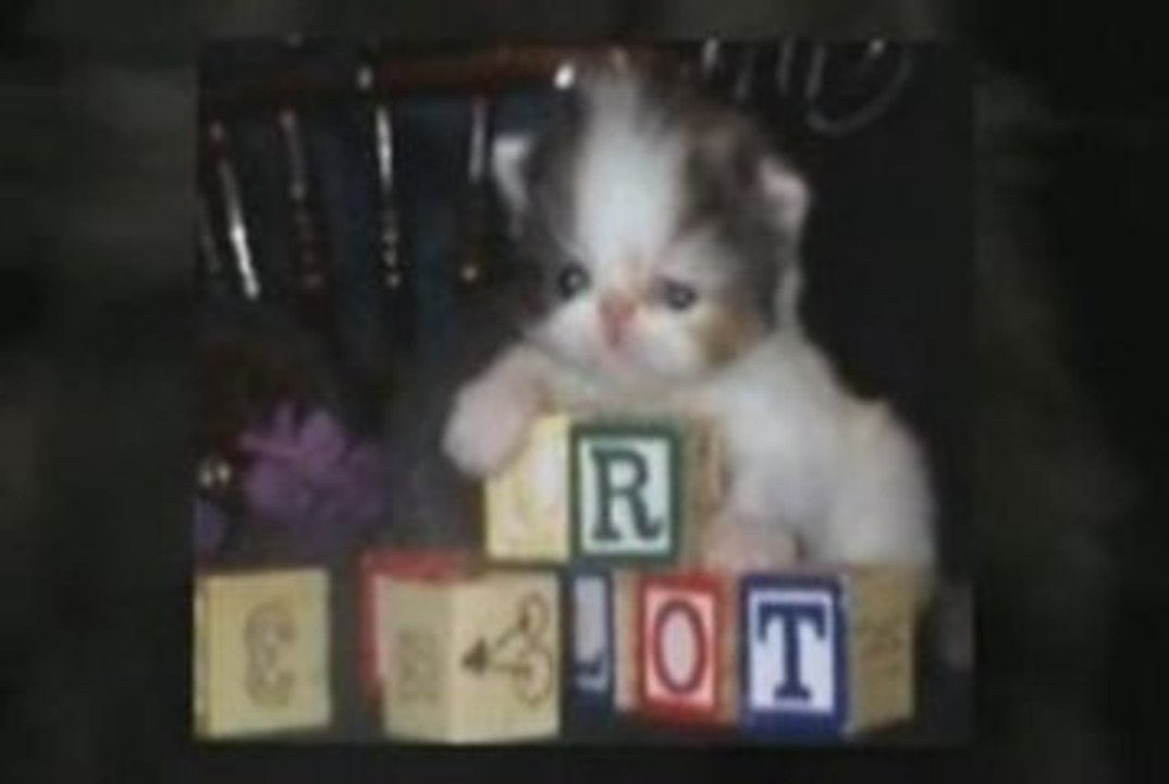 Purrinlot Vid 3