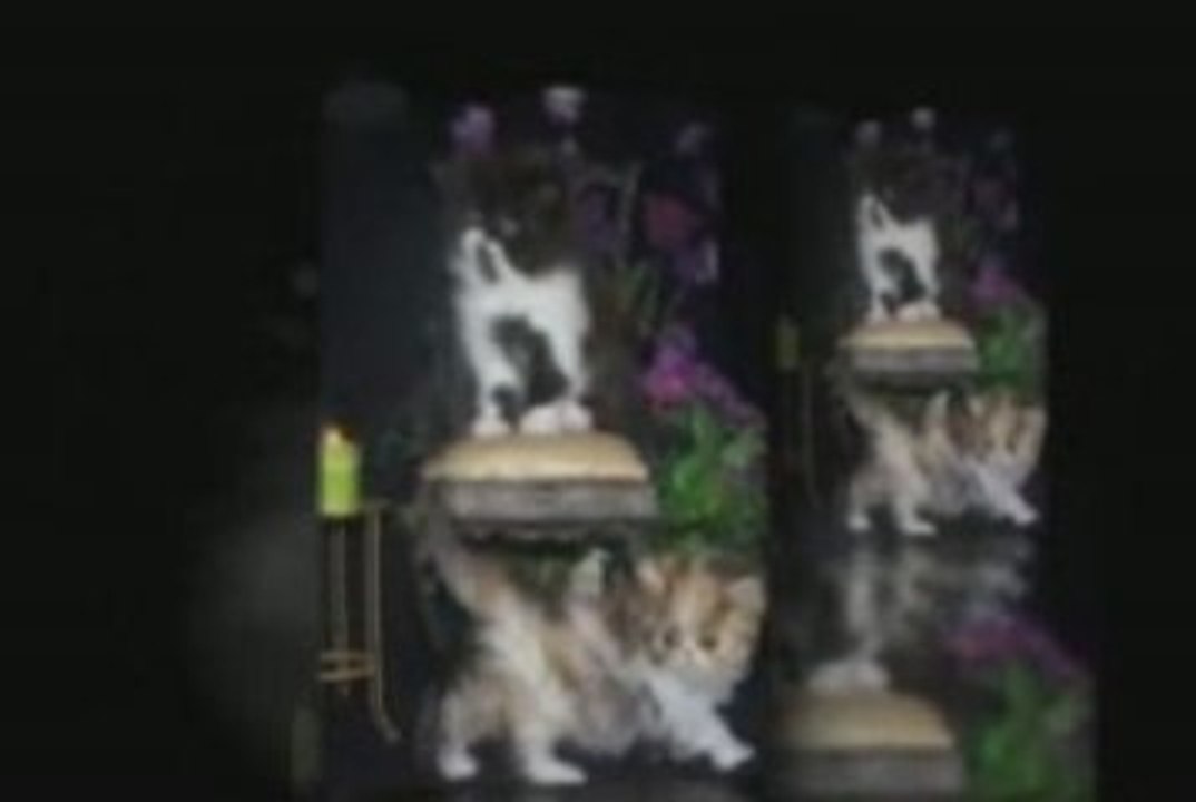 Purrinlot Vid 4