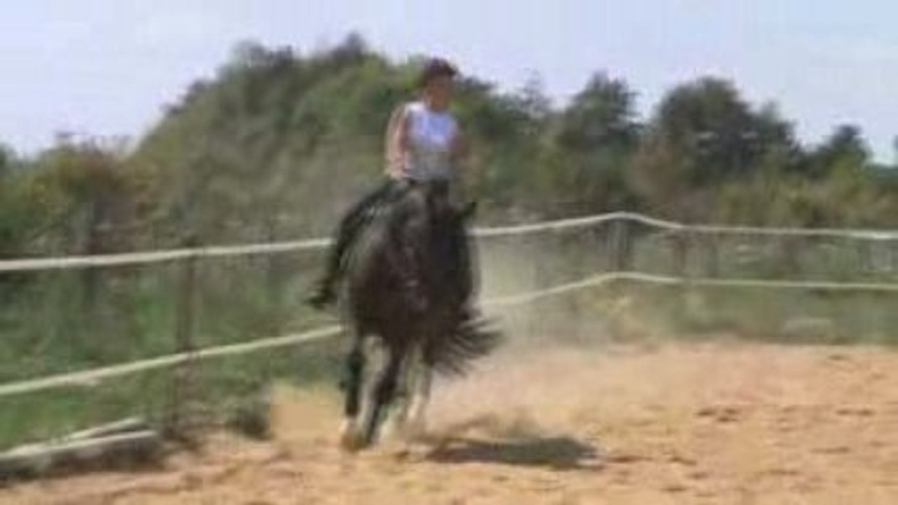 reprise dressage grahm 2