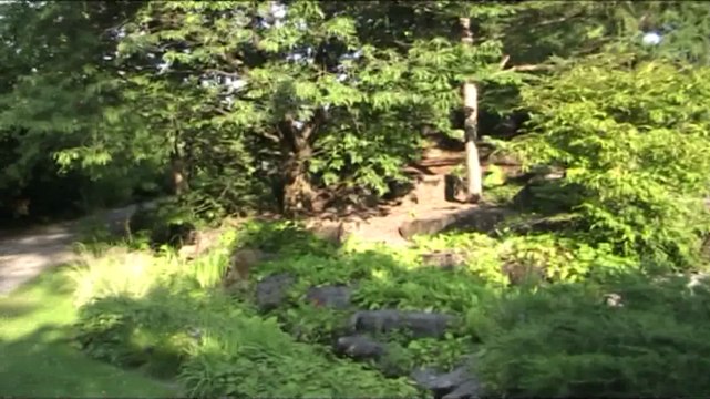 41 - Jardin botanique