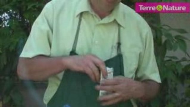 Il est temps de songer à l’hiver: semez mâche et salades!