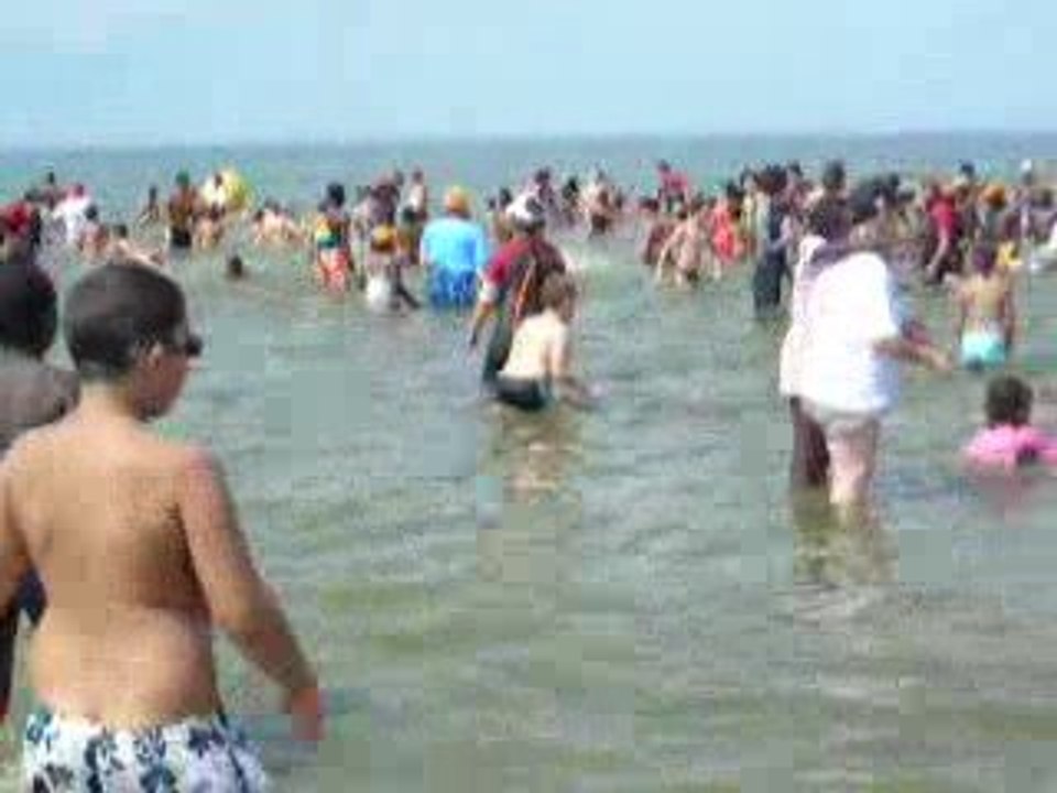 Mardi 18 août 2009 à Cabourg avec le Secours Populaire (2/3)