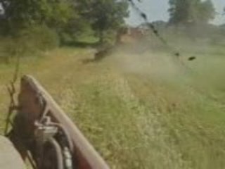 l'axial 2188 dans le blé