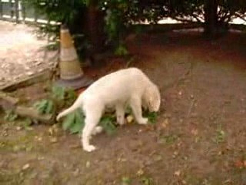 sortie dans le jardin