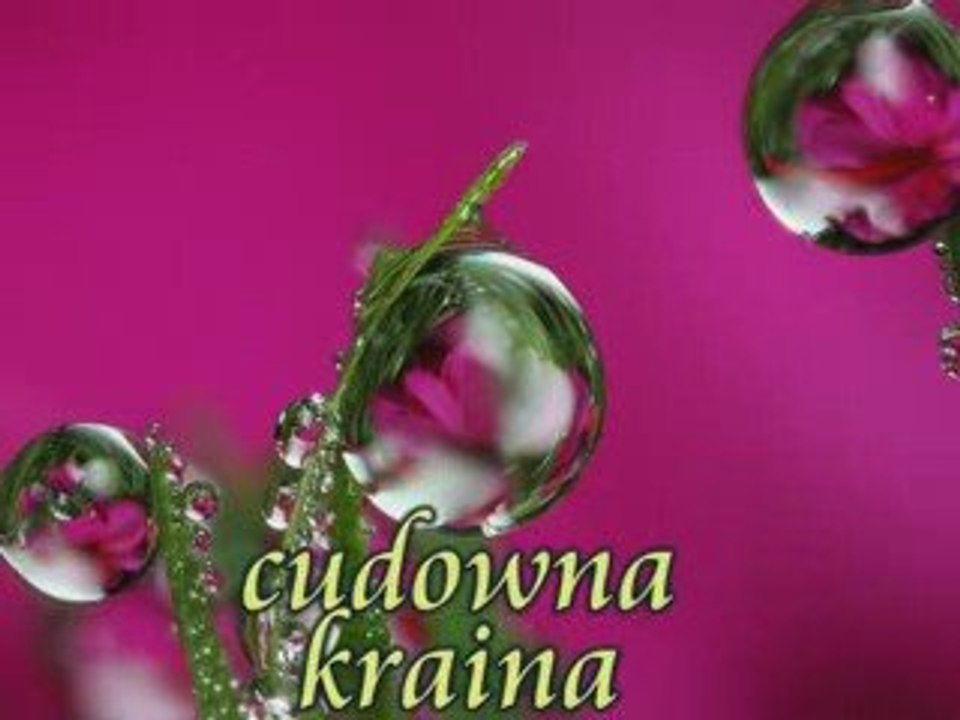 cudowna kraina