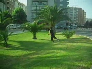 Trailer 2º Sampler Fran