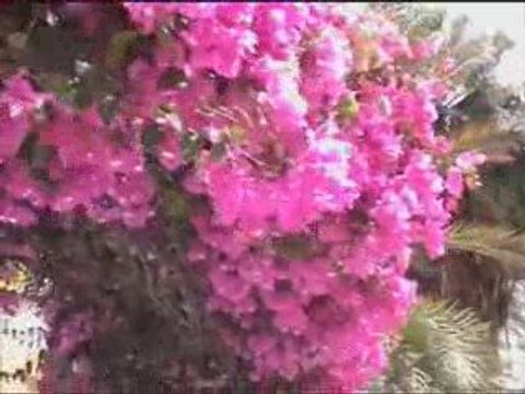 Villas Dunas Paradise on Canary Islands (Fuerteventura)