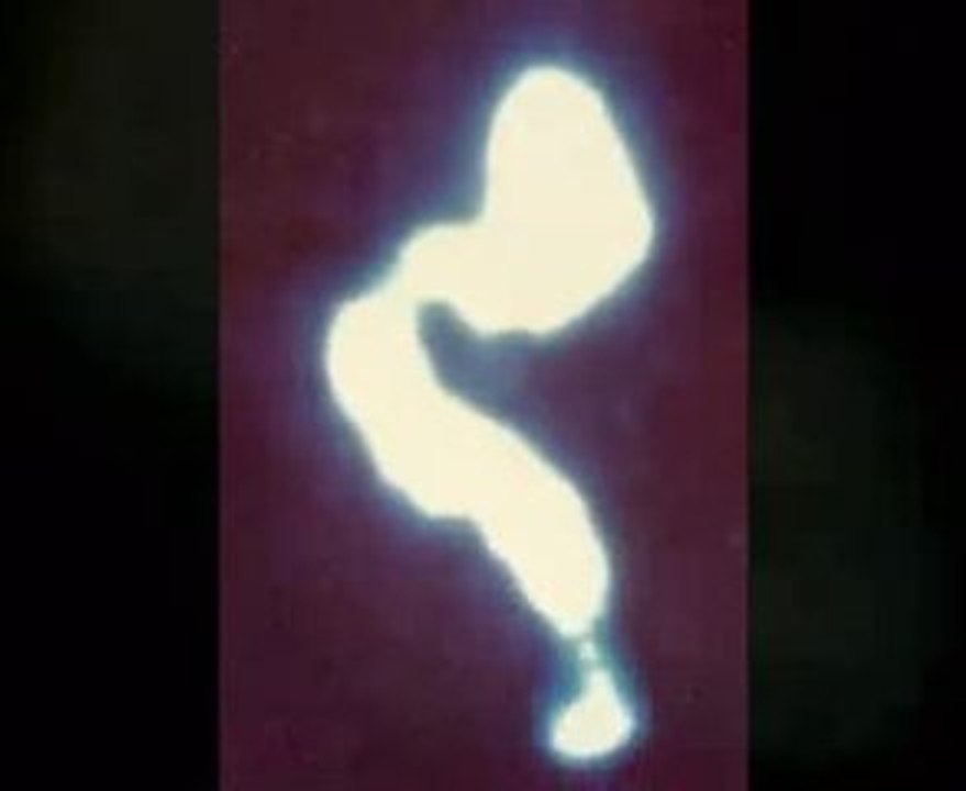 Ser de Luz y Seres de Luz