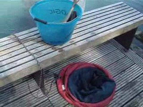 Un seau de brèmes à Gerland pour le Fishing Urban Klubb