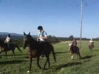 RANDONNEE LES  ANGLES