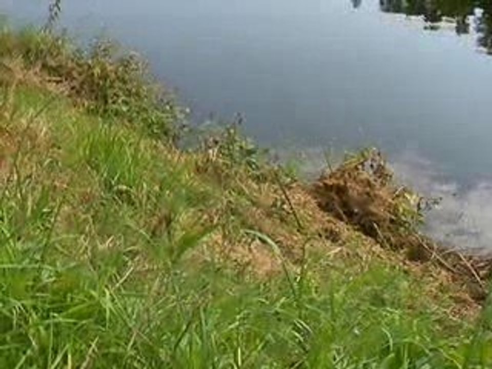 L'étang du Boulet près de Feins