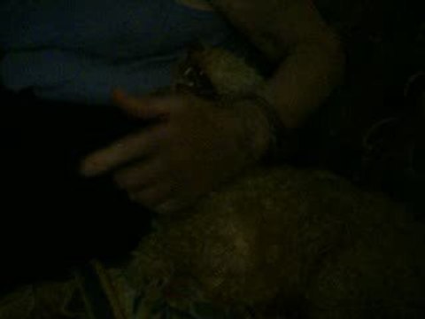 doggy dolly chez mr aout 09 grogne