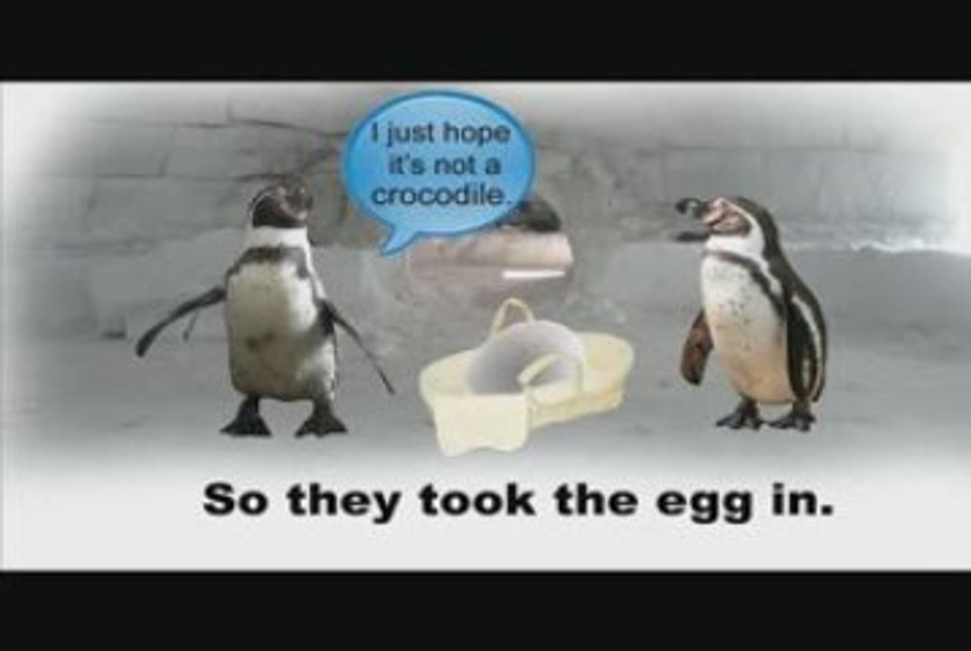 Gay Daddy Penguins