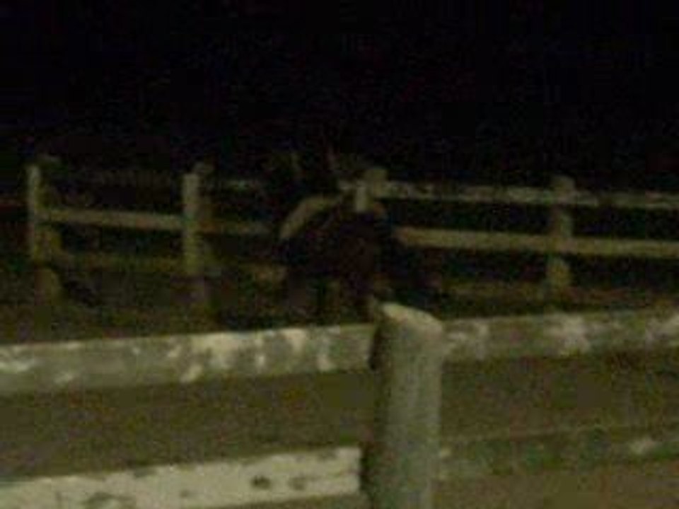 Emma et Chocolatine durant un parcours!