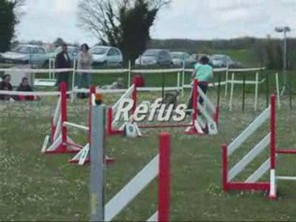 City 1er Concours Agility  18 mois