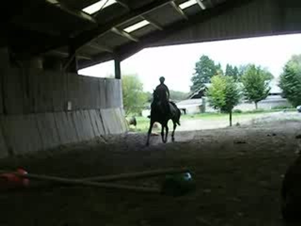 DSCF6549