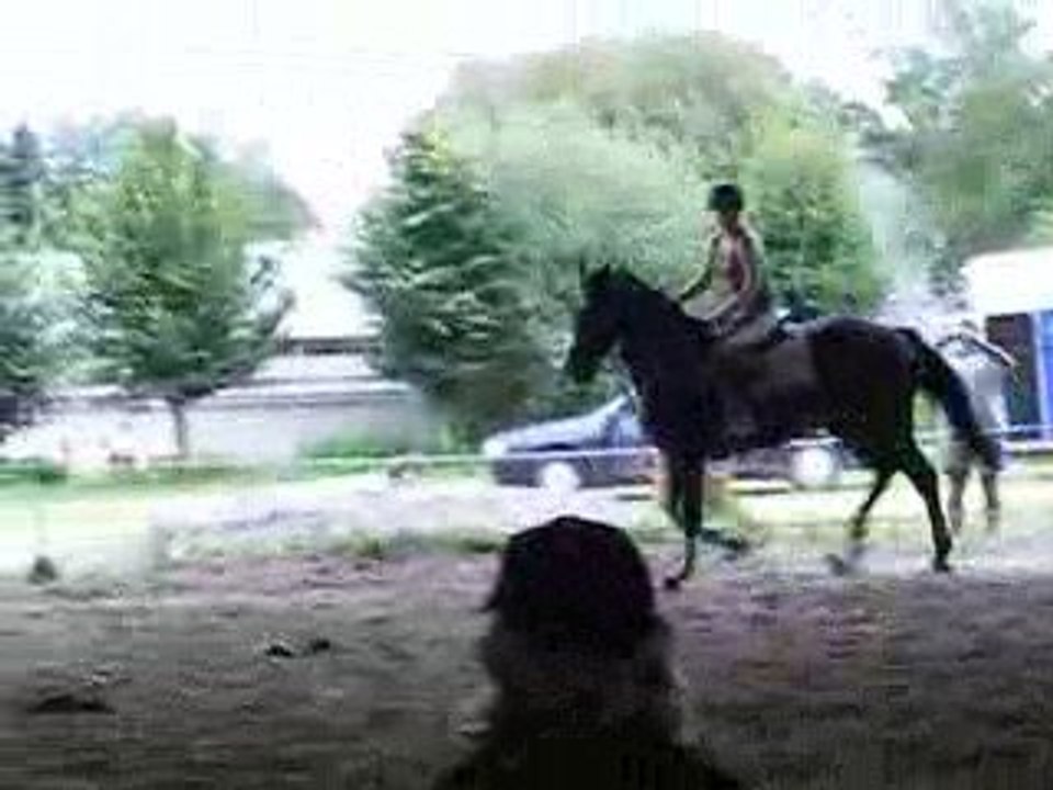 DSCF6550