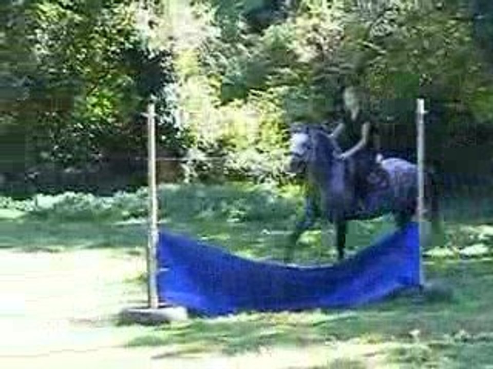 Morgi With Rubens du Scorff