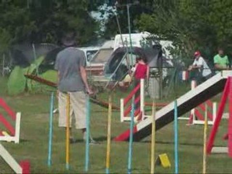 City 2eme Concours Agility 20 Mois