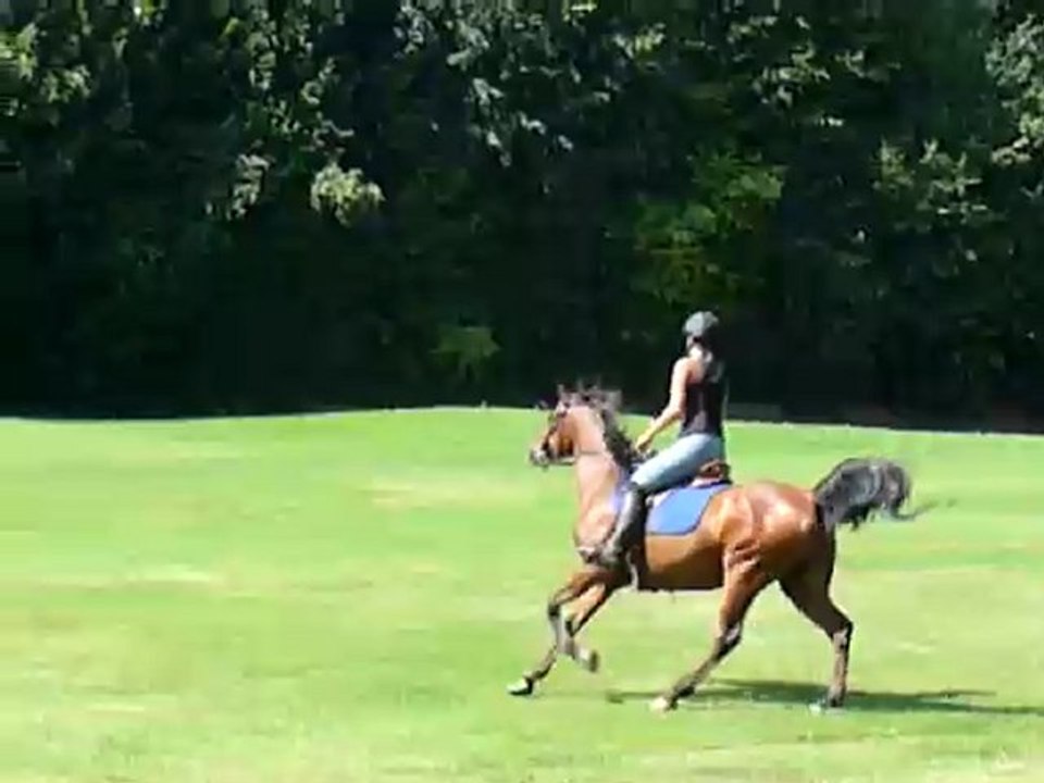 Petit galop Jazz & Nabeul