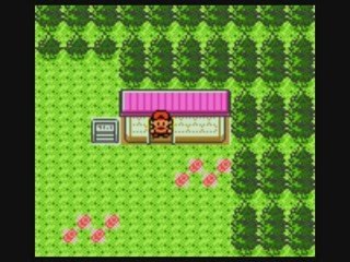 Vidéotest Pokemon Version Argent (Gameboy Color)