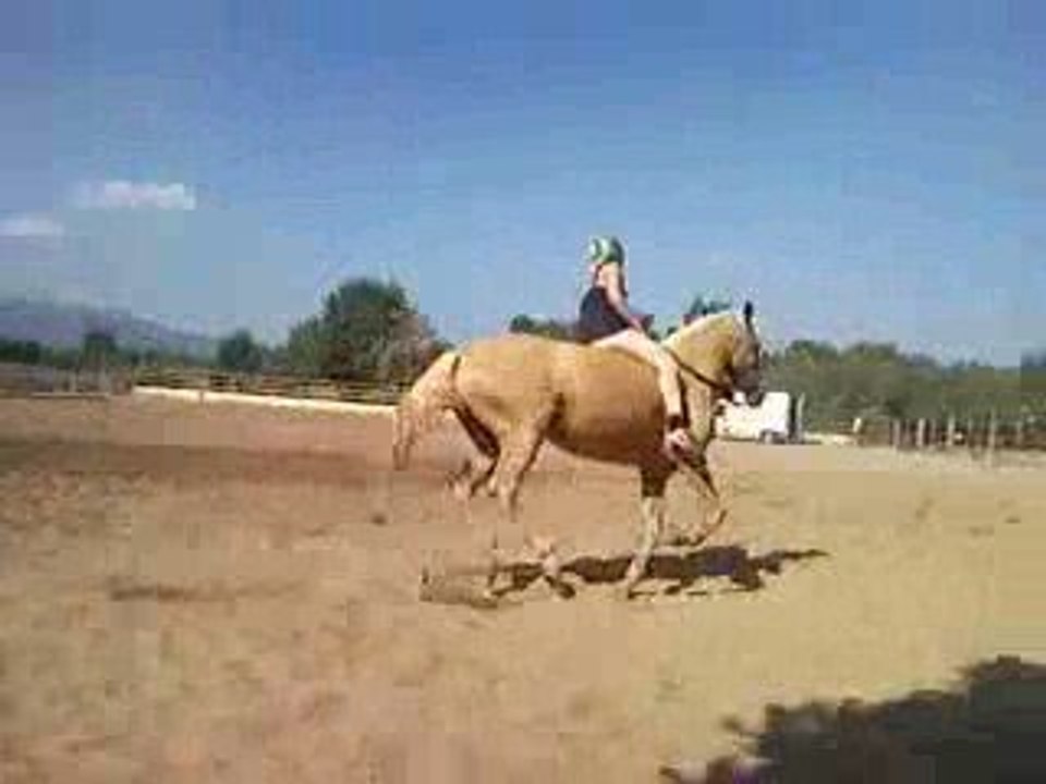 qumba aout09