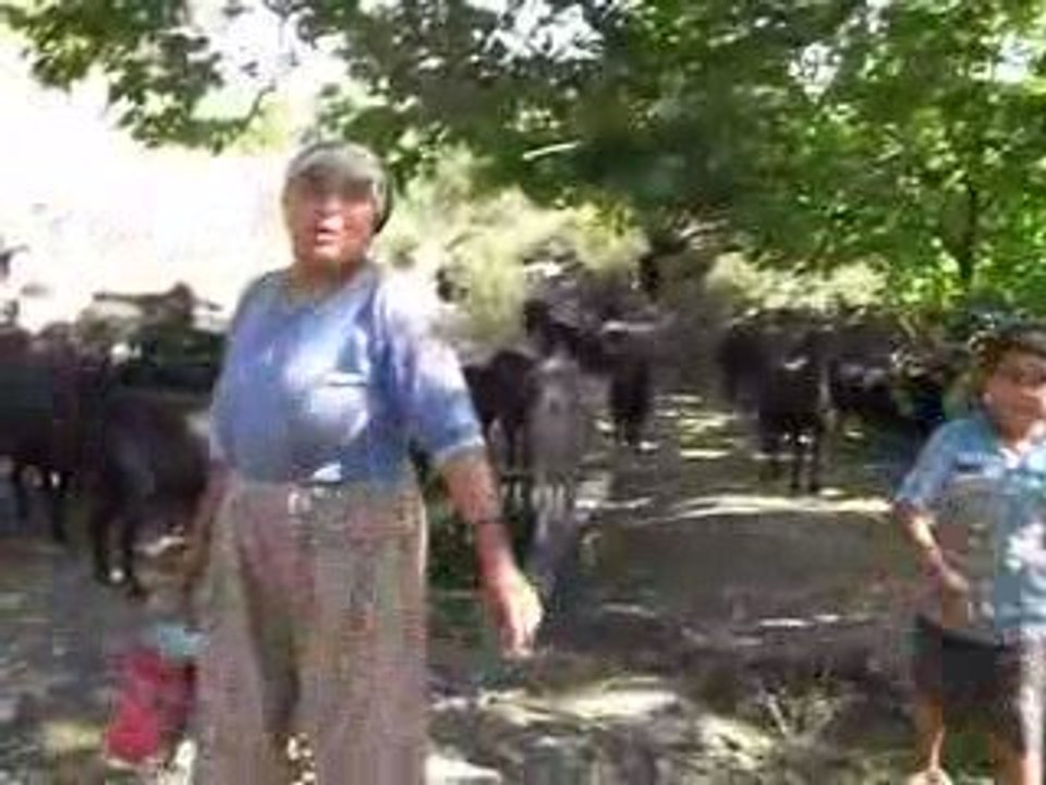 Çoban Ayşe