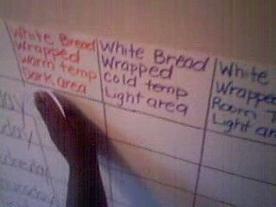 Observation Chart- which bread will grow mold the fastes?