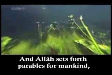 Surah Noor par  Salman Al Utaybi -  صوت ولا اروع