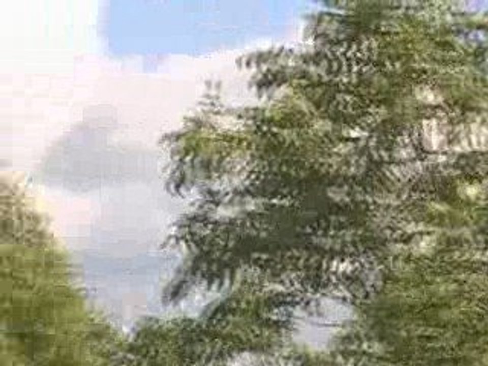 Pigeon Pal's Daily Racing Club News 33 A Very Busy Day