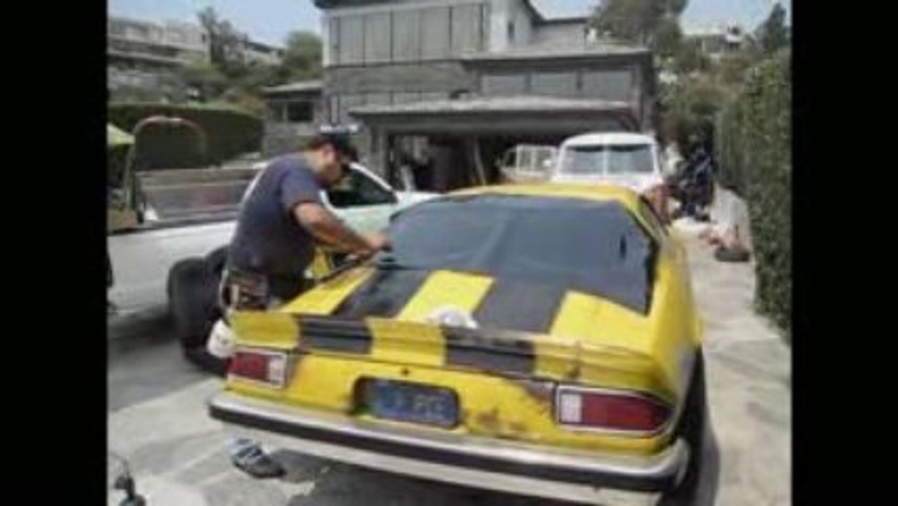 Tinting Bumble Bee