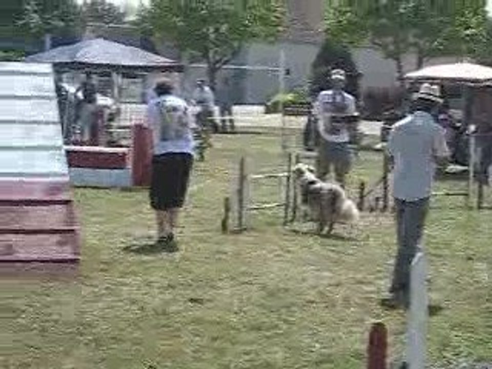 nouans, Lulu et Gibson, GPF