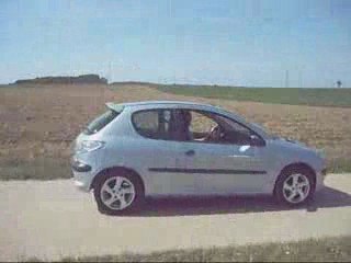 Ma voiture - la Peugeot 206 (2009)