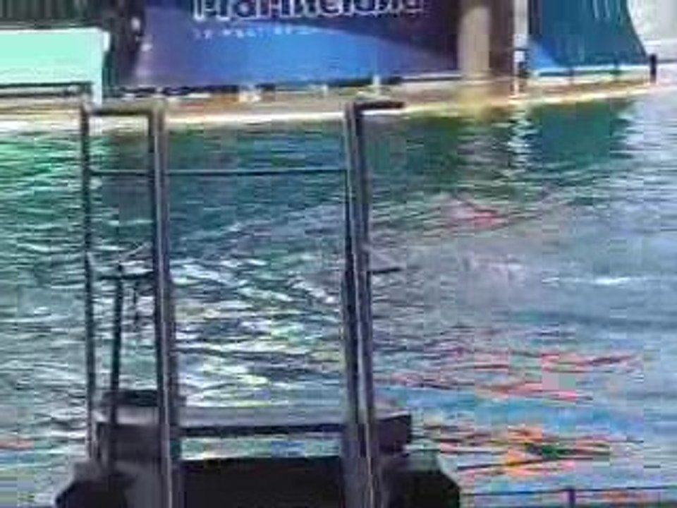 Marineland
