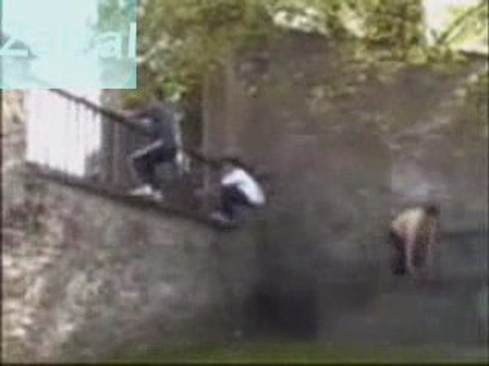 démonstration taekwondo and parkour by zalzal