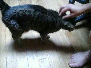 tendresse calin dos aout 09