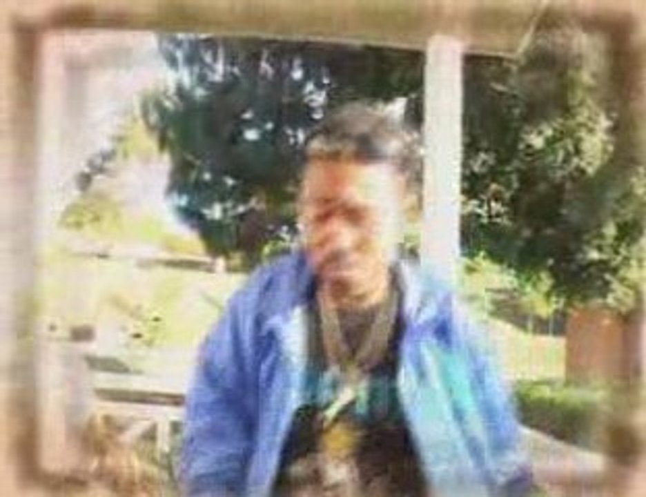 Magneva  -Revy=vavony