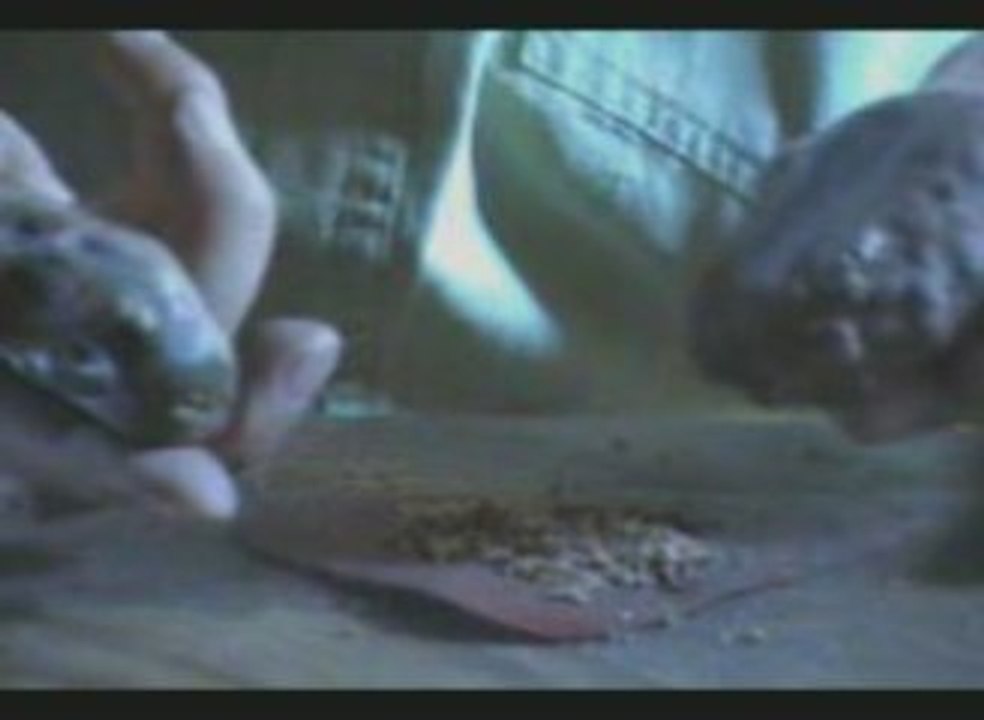 'Faire du Feu comme nos ancêtres' - La marcassite (1/3)