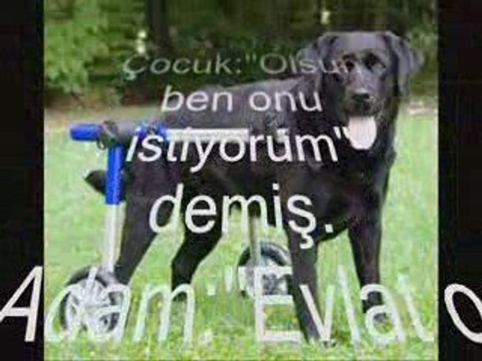 gazetebeyazbebek@hotmail.com