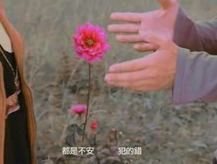 Angela Zhang - Don't Want To Understand