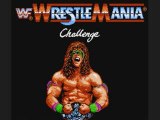 Hulk Hogan VS Ultimate Warrior