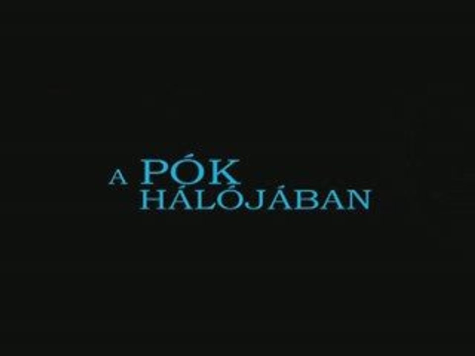 A PÓK HÁLÓJÁBAN