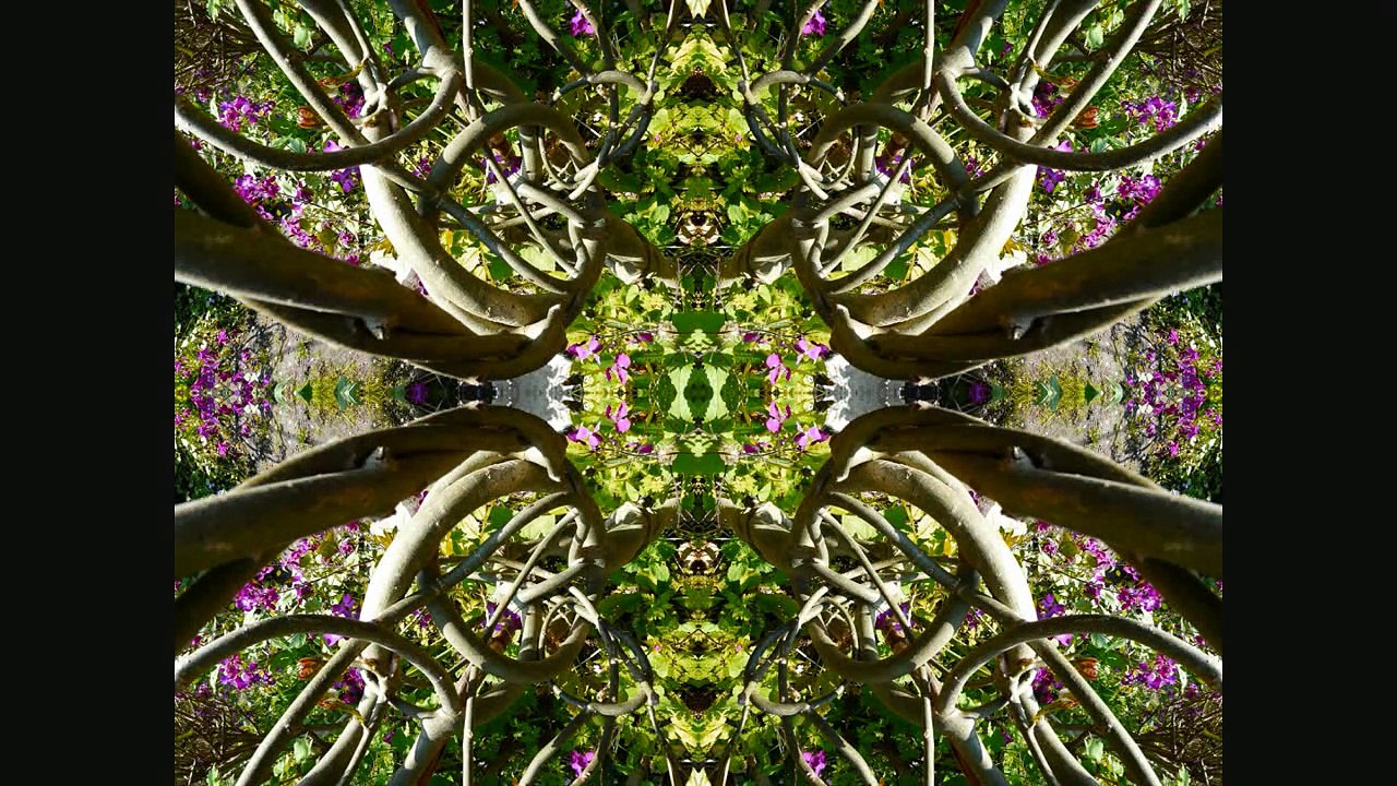 Sculptures-Vivantes_20 aout 2009_ Rêves