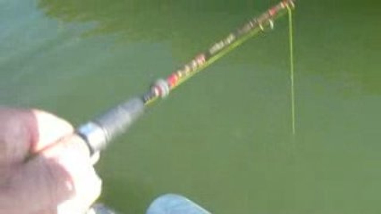 20.8.2009 T.LEVREK AVIM & CESITLI FOTOLAR 003