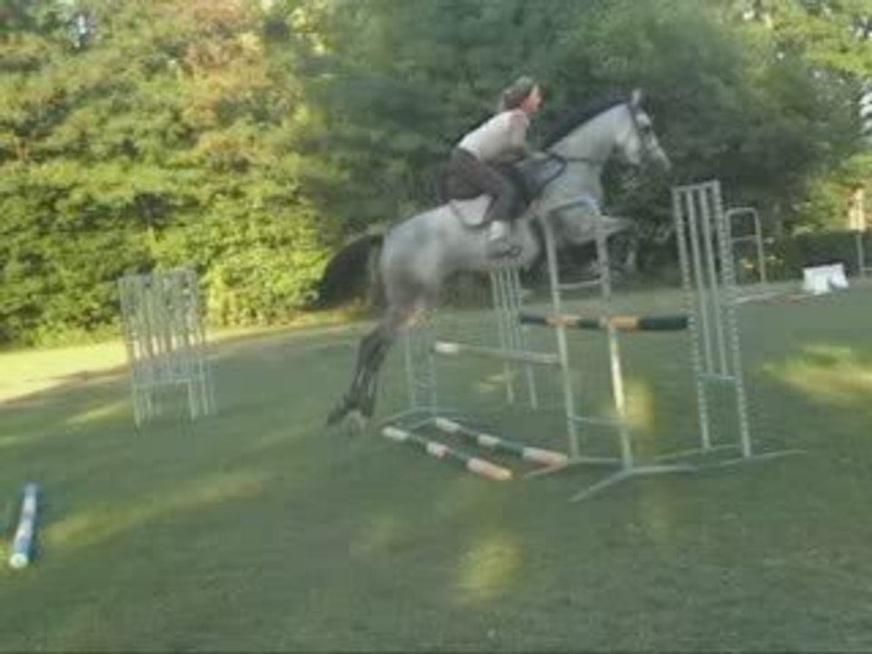 Ramses bleu cavalettis au temple 18 août 2009