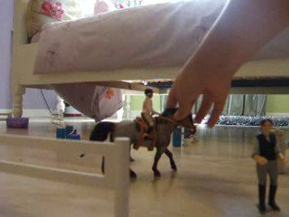 Centre équestre de l'équidé libre