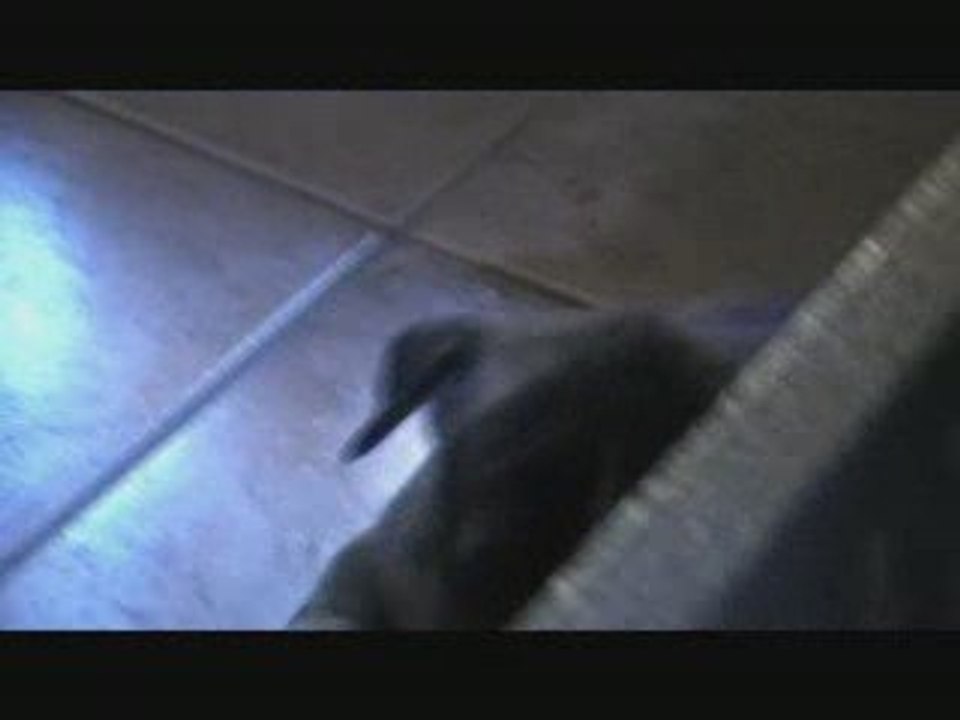 20090820_xpected09_25j2up
