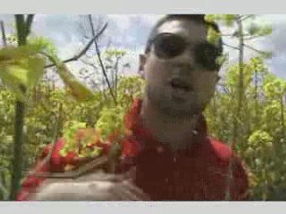 Aktive Artisten - Madame Suza