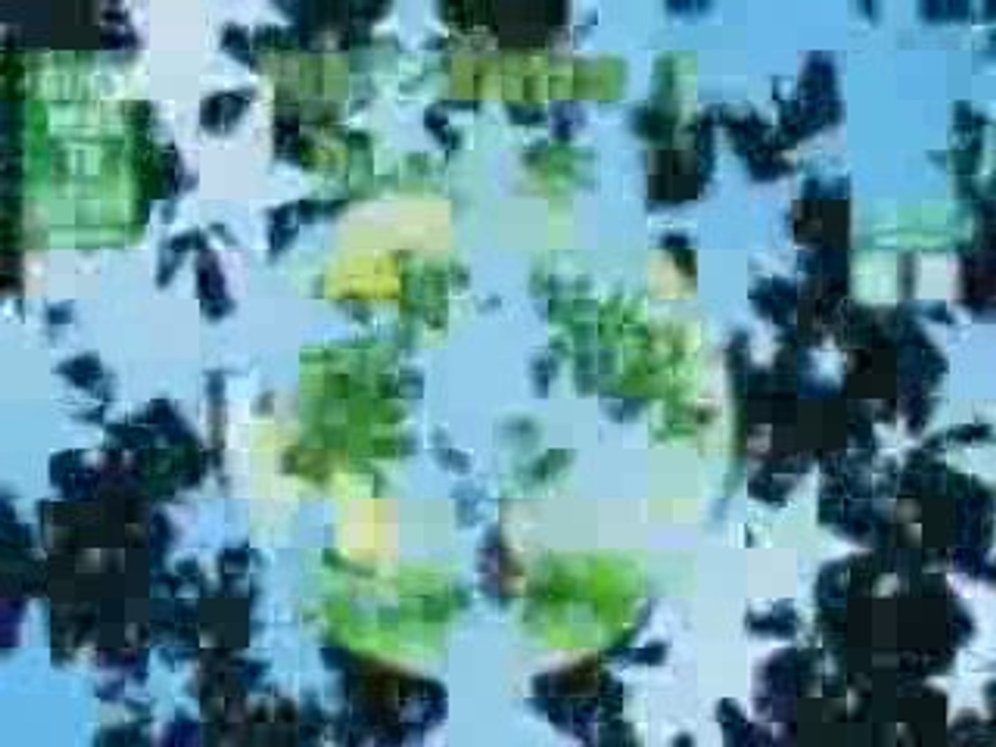 ⁣Learn How To Start Earning Money Online